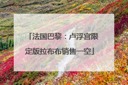 法国巴黎：卢浮宫限定版拉布布销售一空