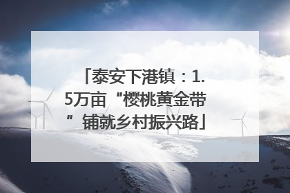 泰安下港镇：1.5万亩“樱桃黄金带”铺就乡村振兴路