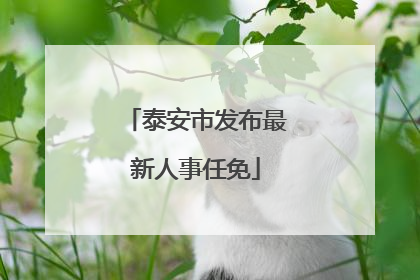 泰安市发布最新人事任免