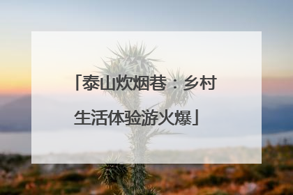 泰山炊烟巷：乡村生活体验游火爆