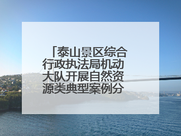 泰山景区综合行政执法局机动大队开展自然资源类典型案例分析交流活动