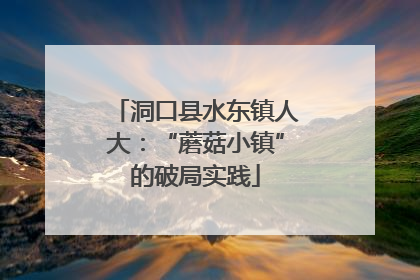 洞口县水东镇人大：“蘑菇小镇”的破局实践