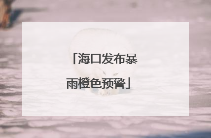 海口发布暴雨橙色预警