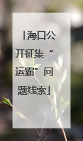 海口公开征集“运霸”问题线索