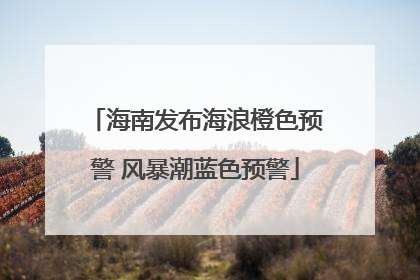 海南发布海浪橙色预警 风暴潮蓝色预警