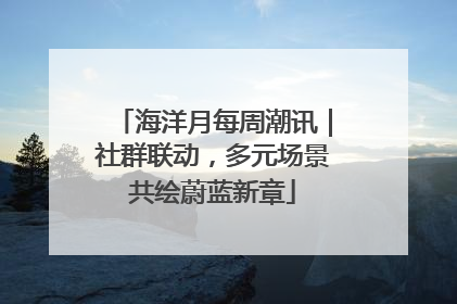 海洋月每周潮讯｜社群联动，多元场景共绘蔚蓝新章