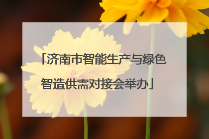 济南市智能生产与绿色智造供需对接会举办