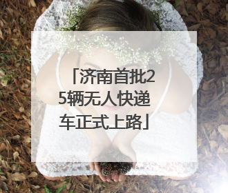 济南首批25辆无人快递车正式上路
