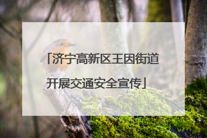 济宁高新区王因街道开展交通安全宣传