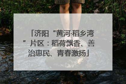 济阳“黄河·稻乡湾”片区：稻荷飘香、善治惠民、青春激扬