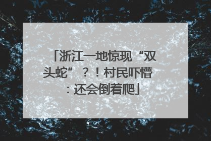 浙江一地惊现“双头蛇”？！村民吓懵：还会倒着爬