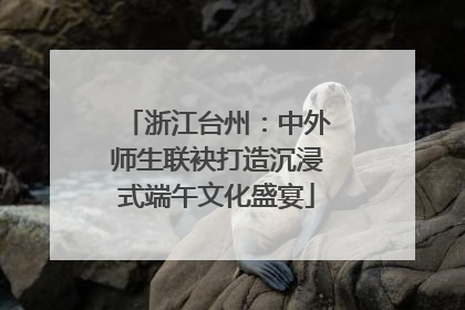 浙江台州：中外师生联袂打造沉浸式端午文化盛宴