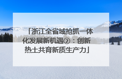 浙江全省域抢抓一体化发展新机遇②：创新热土共育新质生产力