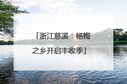 浙江慈溪：杨梅之乡开启丰收季