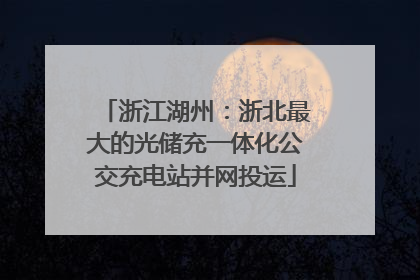 浙江湖州：浙北最大的光储充一体化公交充电站并网投运