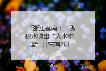 浙江苍南：一泓碧水映出“人水和谐”共富画卷