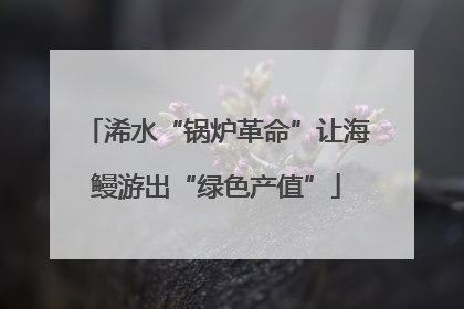 浠水“锅炉革命”让海鳗游出“绿色产值”
