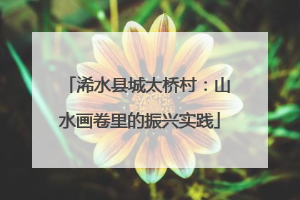 浠水县城太桥村：山水画卷里的振兴实践