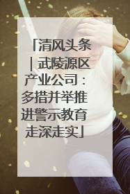 清风头条｜武陵源区产业公司：多措并举推进警示教育走深走实