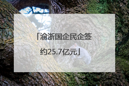 渝浙国企民企签约25.7亿元