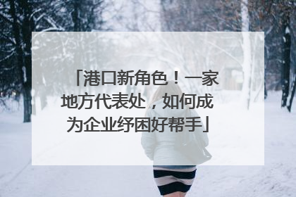 港口新角色！一家地方代表处，如何成为企业纾困好帮手