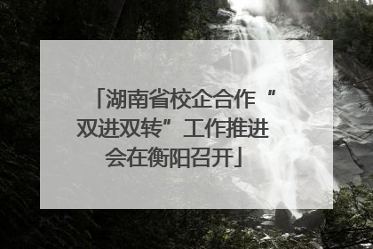 湖南省校企合作“双进双转”工作推进会在衡阳召开