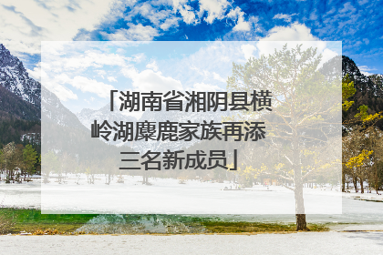 湖南省湘阴县横岭湖麋鹿家族再添三名新成员