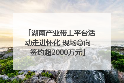 湖南产业带上平台活动走进怀化 现场意向签约超2000万元