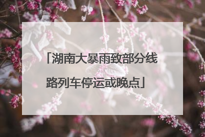 湖南大暴雨致部分线路列车停运或晚点