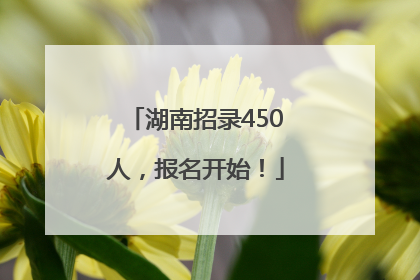 湖南招录450人，报名开始！
