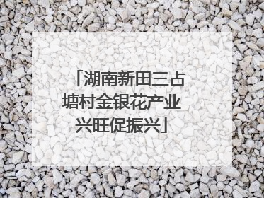 湖南新田三占塘村金银花产业兴旺促振兴