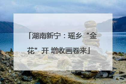 湖南新宁：瑶乡“金花”开 增收画卷来