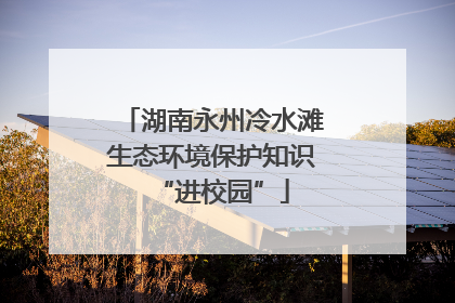 湖南永州冷水滩生态环境保护知识“进校园”