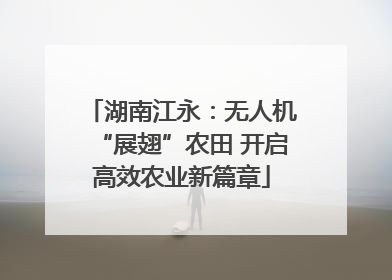 湖南江永：无人机“展翅”农田 开启高效农业新篇章