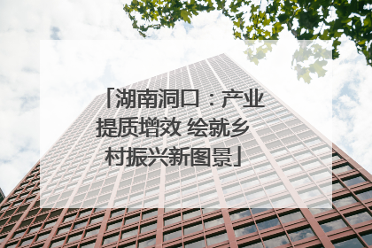 湖南洞口：产业提质增效 绘就乡村振兴新图景