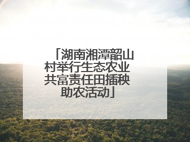 湖南湘潭韶山村举行生态农业共富责任田插秧助农活动
