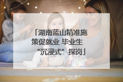 湖南蓝山精准施策促就业 毕业生“沉浸式”探岗