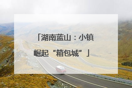 湖南蓝山：小镇崛起“箱包城”