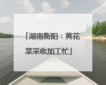湖南衡阳：黄花菜采收加工忙
