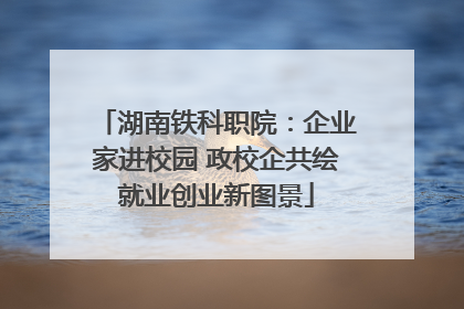 湖南铁科职院：企业家进校园 政校企共绘就业创业新图景