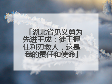 湖北省见义勇为先进王成：徒手握住利刃救人，这是我的责任和使命