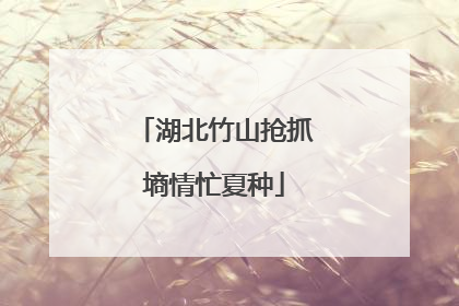 湖北竹山抢抓墒情忙夏种