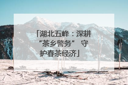 湖北五峰：深耕“茶乡警务” 守护春茶经济