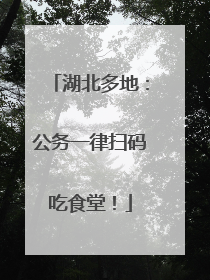 湖北多地：公务一律扫码吃食堂！