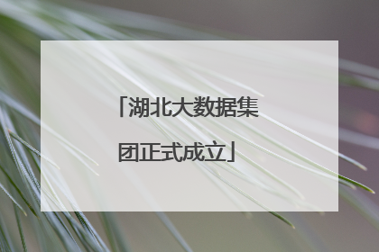 湖北大数据集团正式成立