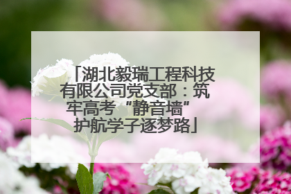 湖北毅瑞工程科技有限公司党支部：筑牢高考“静音墙” 护航学子逐梦路