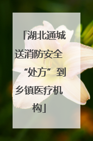 湖北通城送消防安全“处方”到乡镇医疗机构