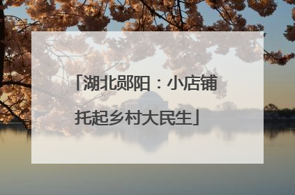 湖北郧阳：小店铺托起乡村大民生