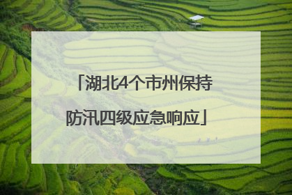 湖北4个市州保持防汛四级应急响应