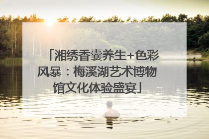 湘绣香囊养生+色彩风暴：梅溪湖艺术博物馆文化体验盛宴